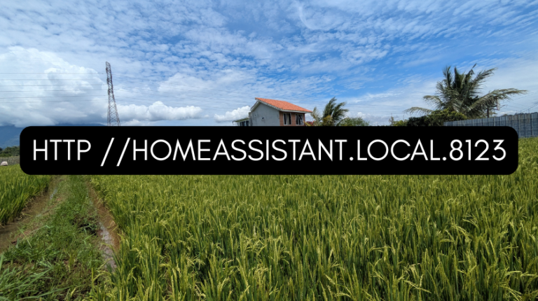 http //homeassistant.local.8123